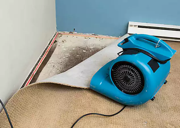 Your Water Damage Experts in McDonough, GA