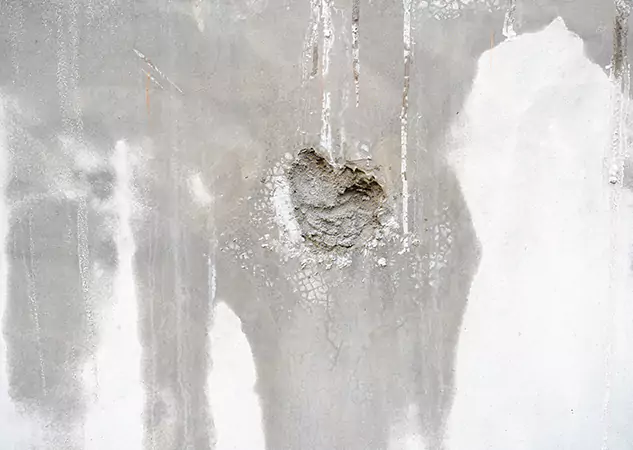 Your Mold Mitigation Solutions Partner in McDonough, GA