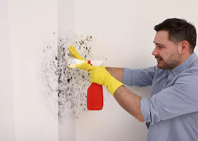 Your Water Mold Fire Restoration Partner in McDonough, GA