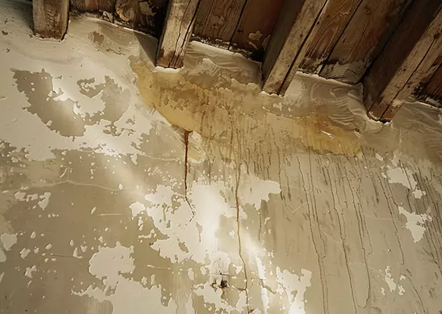 Your Trusted Restoration Company in McDonough, GA