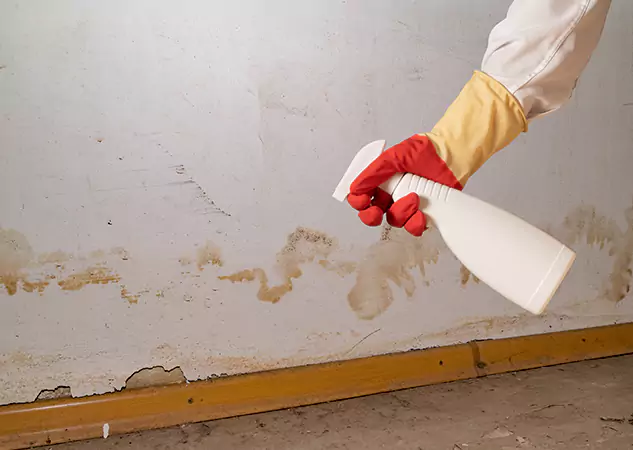 Your Water Restoration and Mold Remediation Specialists in McDonough, GA