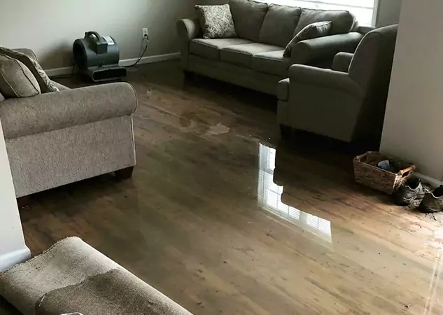 Your Trusted Restoration Company in McDonough, GA
