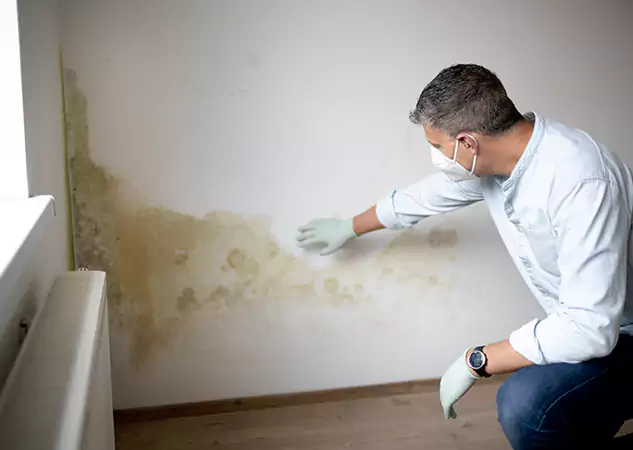 Reach Our Remediation Team Before Damage Grows in McDonough, GA!
