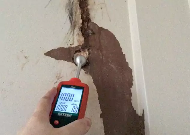 Your Water Damage Assessment Partner in McDonough, GA