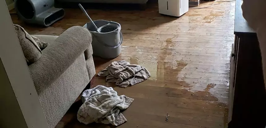 Professional Basement Water Remediation Services in McDonough, GA