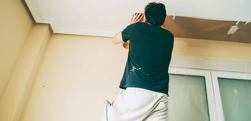 Ceiling Water Damage Repair in McDonough
