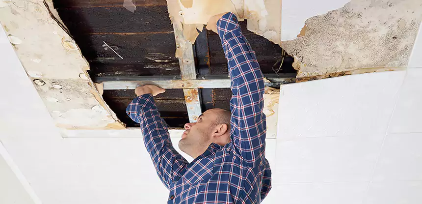 Attic Wood Rot Repair in McDonough