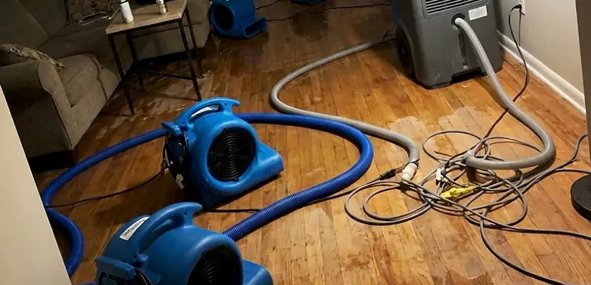Basement Flood Restoration Services in McDonough