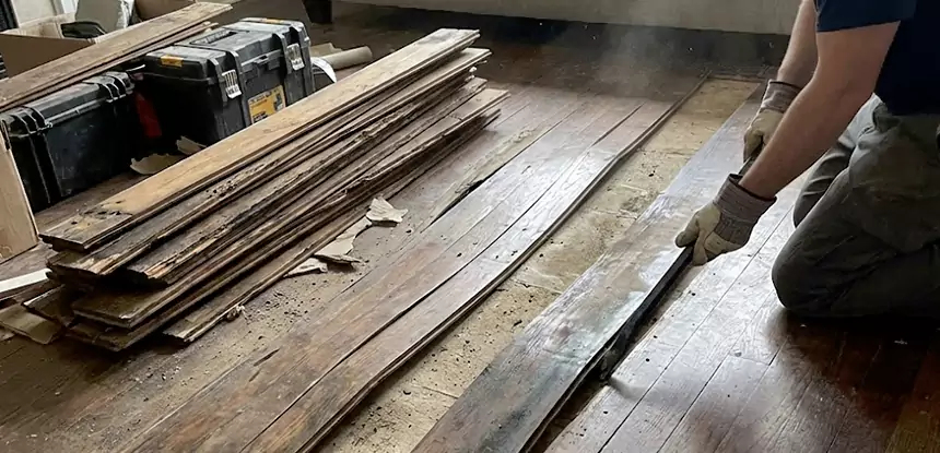 Wood Rot and Fungus Repair in McDonough