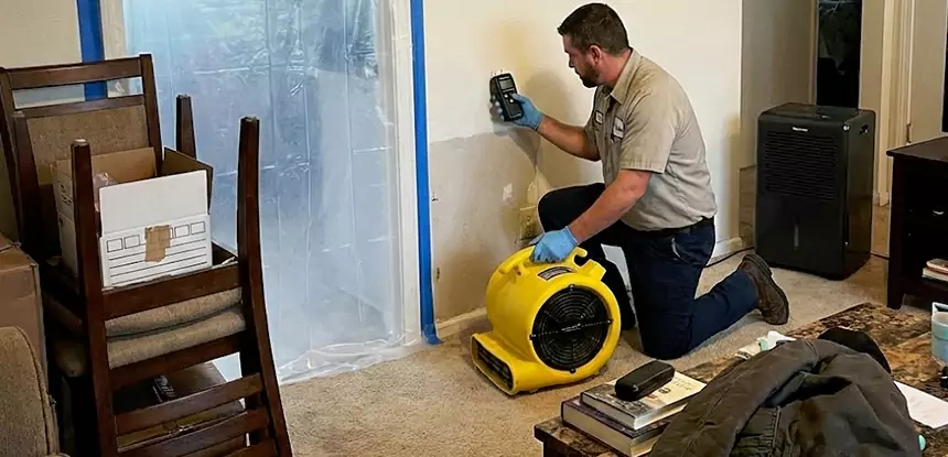 Carpet Water Damage Repair McDonough