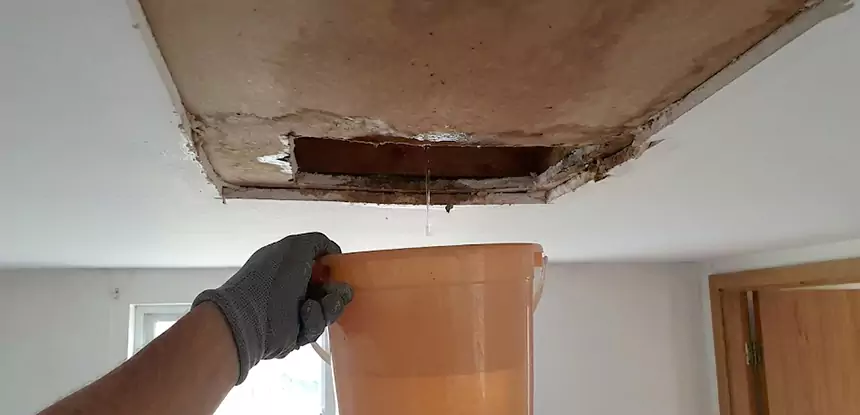 Ceiling Mold Repair McDonough 