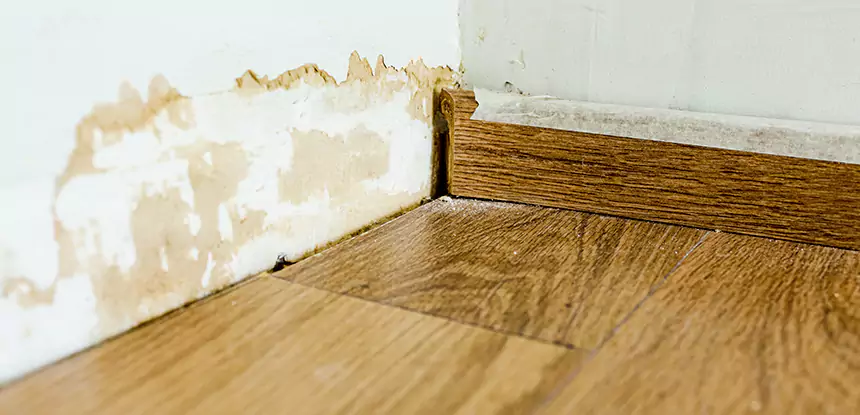 Professional Fix Water Damaged Wood Services in McDonough, GA