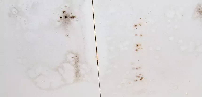 Professional Water Stain Repair Services in McDonough, GA