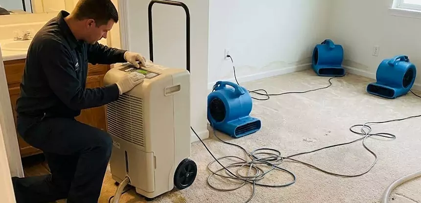 Professional Wet Carpet Removal Services in McDonough, GA