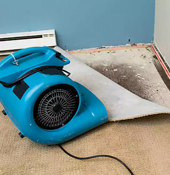 Why McDonough Trusts McDonough Restoration Pro for Carpet Flood Recovery?