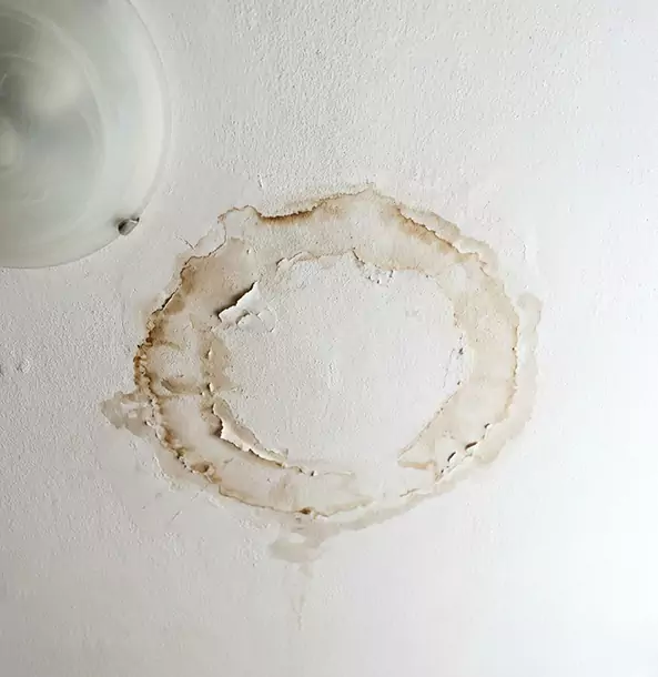 Why McDonough Property Owners Choose McDonough Restoration Pro for Ceiling Water Damage Restoration?