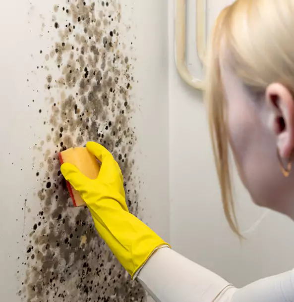 Why McDonough Restoration Pro Leads Mold Remediation in McDonough?