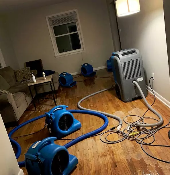 Why McDonough Property Owners Rely on McDonough Restoration Pro for Remediation?