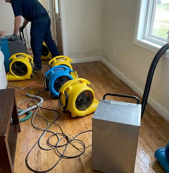 Why McDonough Property Owners Choose McDonough Restoration Pro for Remediation?