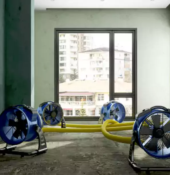Why McDonough Property Owners Trust McDonough Restoration Pro for Water Damage Drying?