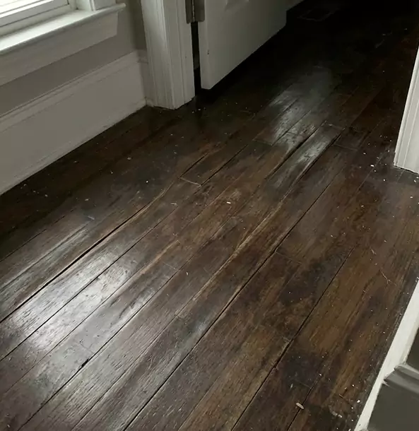 Why McDonough Homeowners Trust McDonough Restoration Pro to Fix Water Damaged Wood?
