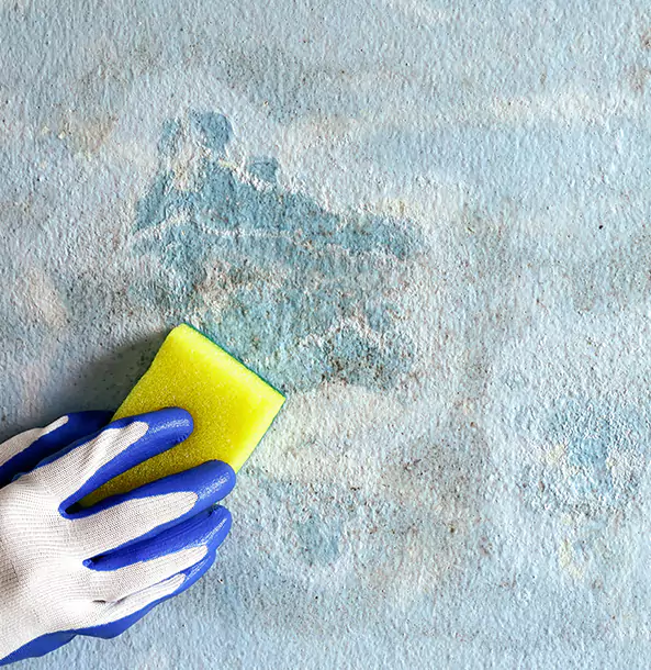 Why McDonough Restoration Pro Is the Right Choice in McDonough, GA?