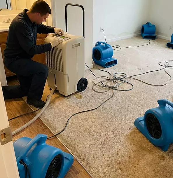 Why McDonough Homeowners and Businesses Trust McDonough Restoration Pro for Carpet Drying?