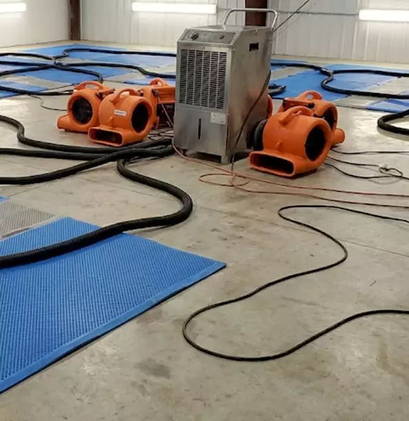 Why McDonough Homeowners and Businesses Choose McDonough Restoration Pro for Wet Carpet Removal?