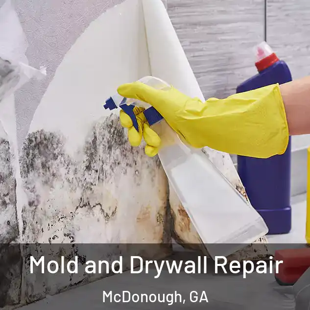  Mold and Drywall Repair McDonough, GA