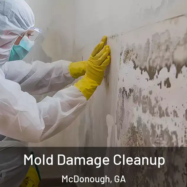  Mold Damage Cleanup McDonough, GA