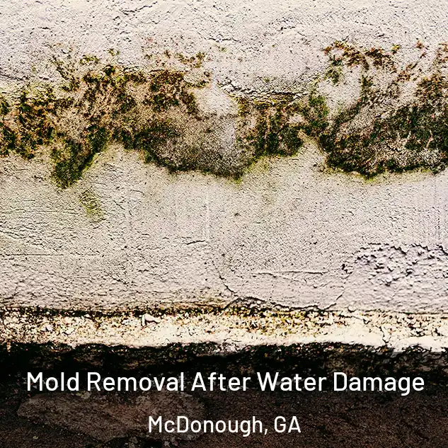  Mold Removal After Water Damage McDonough, GA
