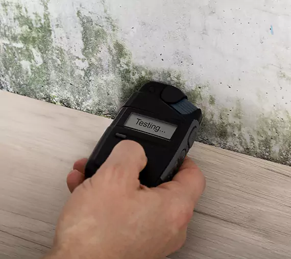 Mold Remediation Service McDonough