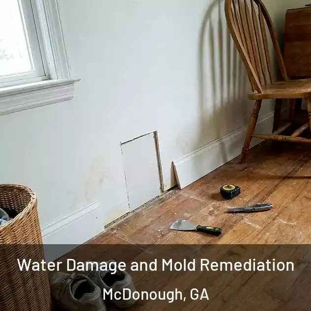  Water Damage and Mold Remediation McDonough, GA