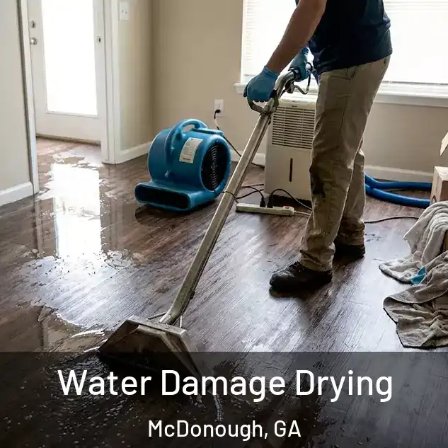  Water Damage Drying McDonough, GA