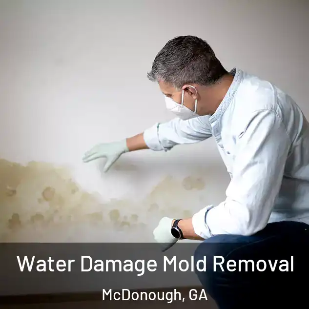  Water Damage Mold Removal McDonough, GA