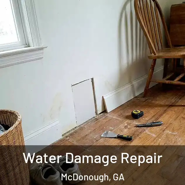  Water Damage Repair McDonough, GA
