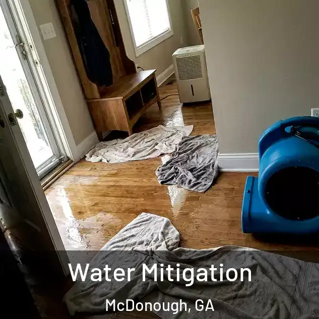  Water Mitigation McDonough, GA