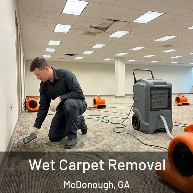  Wet Carpet Removal McDonough, GA